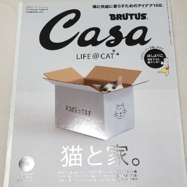 casa 猫と家 エンタメ/ホビーの本(住まい/暮らし/子育て)の商品写真