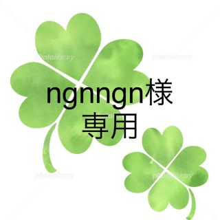 ngnngn様専用(その他)