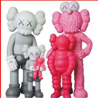 kaws family grey/pink/fluoro pink 新品(その他)