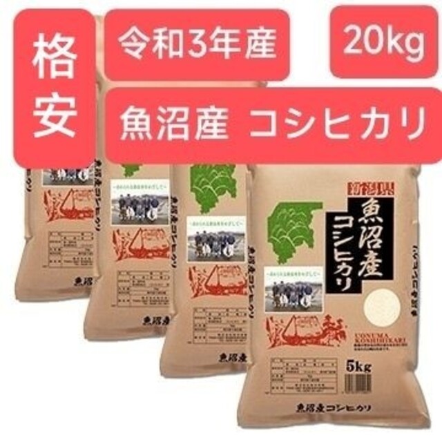 令和3年産 新潟県 魚沼産 コシヒカリ 20kg(5kg×4袋)/五つ星お米133年産