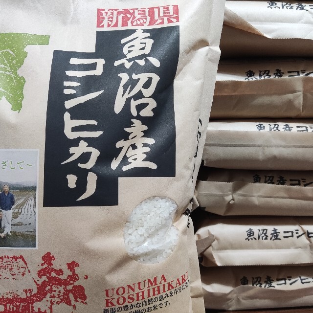 魚沼産　米/穀物　令和3年産　20kg(5kg×4袋)/五つ星お米13　新潟県　コシヒカリ