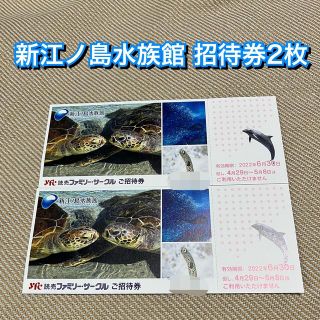 新江ノ島水族館 ご招待券×2枚 無料 招待券 チケット (水族館)