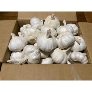 1kg 嘉定種 令和3年度産 ニンニク 中球(M球程度) にんにく(野菜)