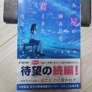 あの星が降る丘で、君とまた出会いたい。(その他)