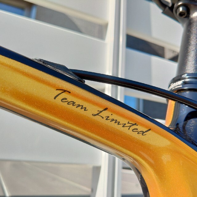 SHIMANO(シマノ)のロードバイク　グスト　DURO　チーム　リミテッド美品 スポーツ/アウトドアの自転車(自転車本体)の商品写真