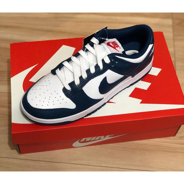 NIKE DUNK LOW RETRO VALERIAN BLUE 26.5cm