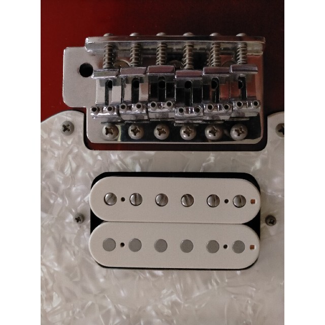 FERNANDES sustainer フェルナンデス サスティナー FERNANDES sustainer フェルナンデス サスティナー