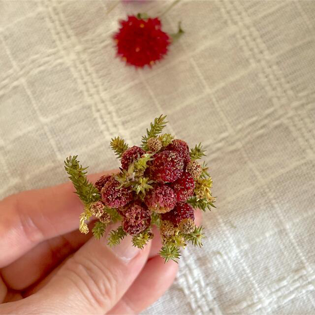 🌿木苺🍓ベリーな🍓ナチュかわ♡ドライフラワーミニリース🌿 ハンドメイドのフラワー/ガーデン(リース)の商品写真