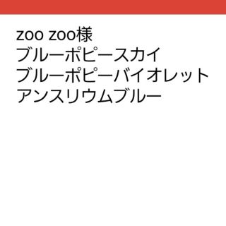 zoo zoo様専用(その他)