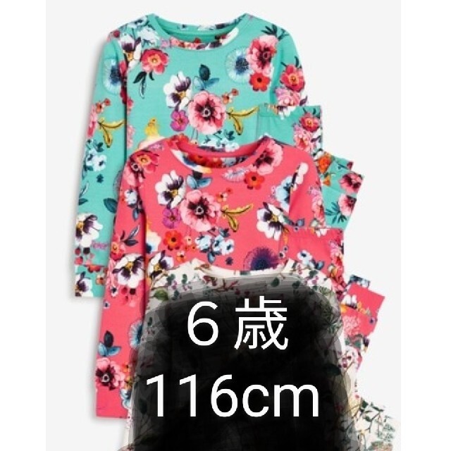 NEXT(ネクスト)の6歳　116cm　パジャマ2セット　NEXT キッズ/ベビー/マタニティのキッズ服女の子用(90cm~)(パジャマ)の商品写真