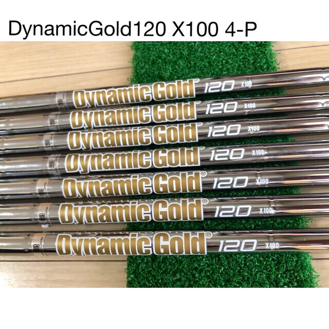 ダイナミックゴールド120 X100 (4-P)