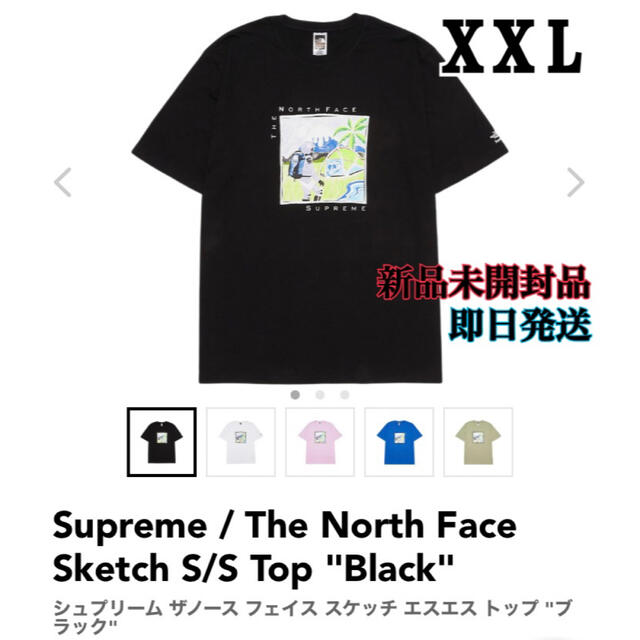 欲しいの Supreme - Supreme TheNorthFaceSketchザノースフェイススケッチ Tシャツ/カットソー(半袖/袖なし)