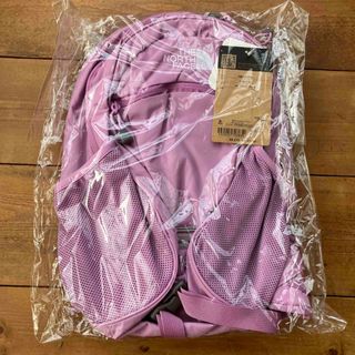 ザノースフェイス(THE NORTH FACE)の【新品・未開封】ノースフェイス スモールデイ バックパック リュック  15L(リュックサック)