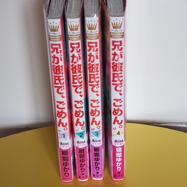 集英社(シュウエイシャ)の【HaNaBi様専用】兄が彼氏で、ごめん。 全巻セット エンタメ/ホビーの漫画(少女漫画)の商品写真