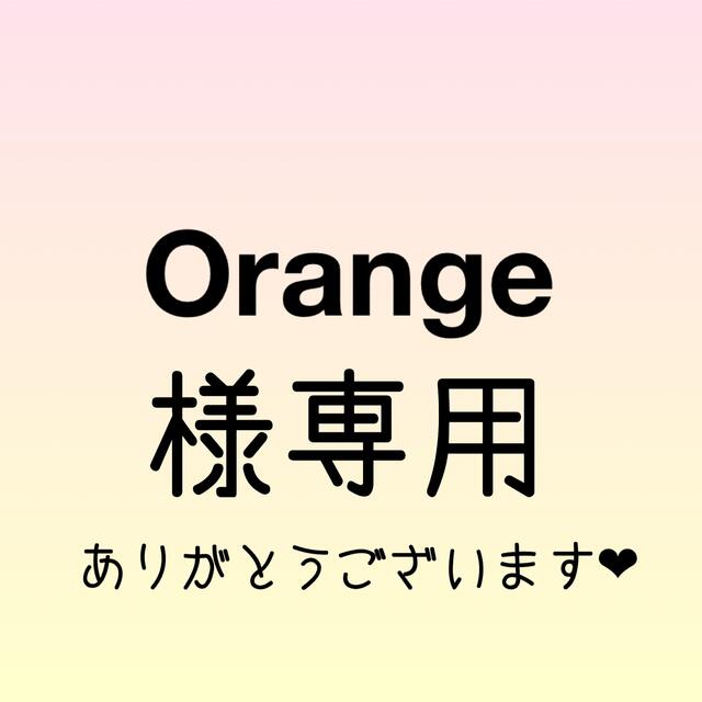 【限定販売】 Orange様専用ページ その他