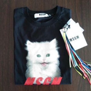 値下　MSGM 猫スウェット