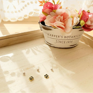 ぷちシリーズ　バラ　薔薇　５点セット　ハンドメイド　ピアス　イヤリング　花(イヤリング)