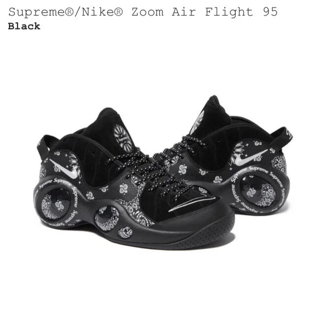 Supreme®/Nike® Zoom Air Flight 95 25.5メンズ