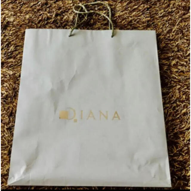 DIANA(ダイアナ)のダイアナ紙袋 レディースのバッグ(ショップ袋)の商品写真