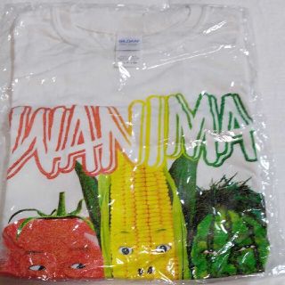 値下げWANIMA白Tシャツ(ミュージシャン)
