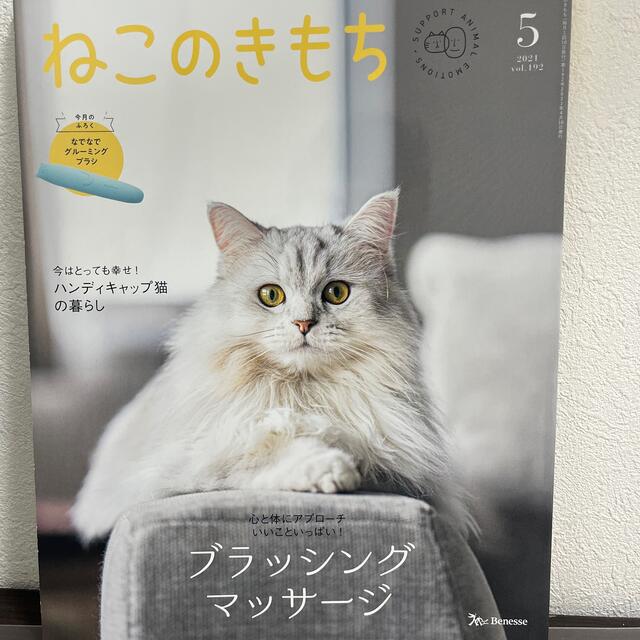 Benesse(ベネッセ)の週末値下げ‼️ねこのきもち　と付録セット その他のペット用品(猫)の商品写真