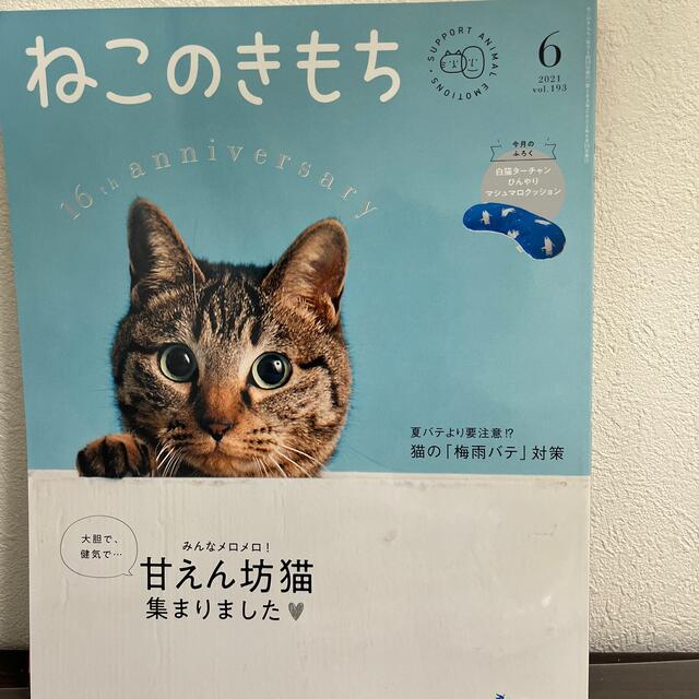 Benesse(ベネッセ)の週末値下げ‼️ねこのきもち　と付録セット その他のペット用品(猫)の商品写真