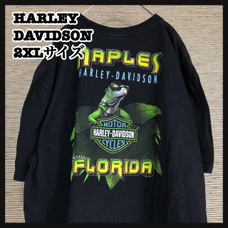 ハーレーダビッドソン(Harley Davidson)の【ハーレーダビッドソン】半袖Tシャツ　アニマル柄　デカロゴ　ビッグプリント。(Tシャツ/カットソー(半袖/袖なし))