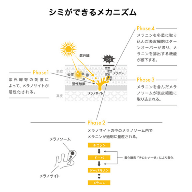 TBC PRENITY プレニティ ホワイトローションEX_150mL 4