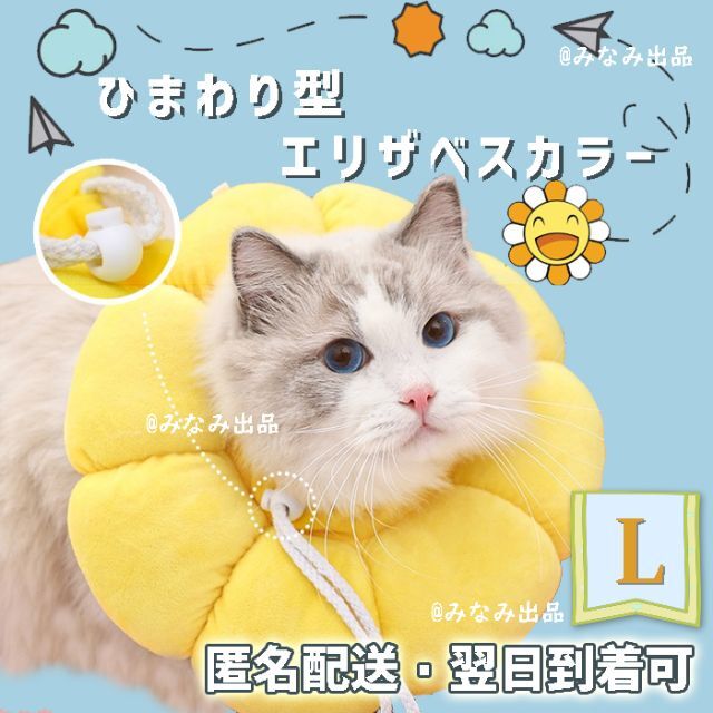 楽天最安値に挑戦】 エリザベスカラー 猫 黄色 ソフト M キズ舐め防止 かわいい エリザベスカラー 猫 黄色 ソフト M キズ舐め防止 かわいい