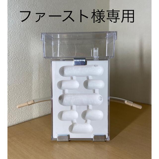 アリの巣　観察セット その他のペット用品(虫類)の商品写真