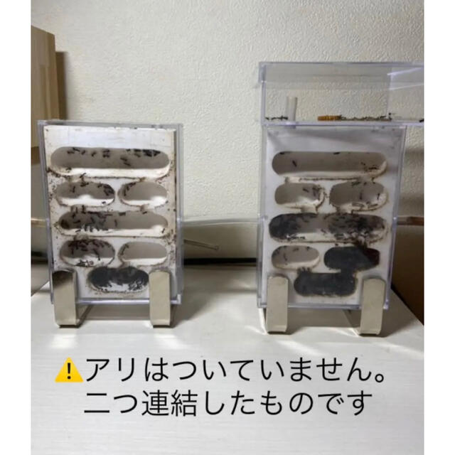 アリの巣　観察セット その他のペット用品(虫類)の商品写真