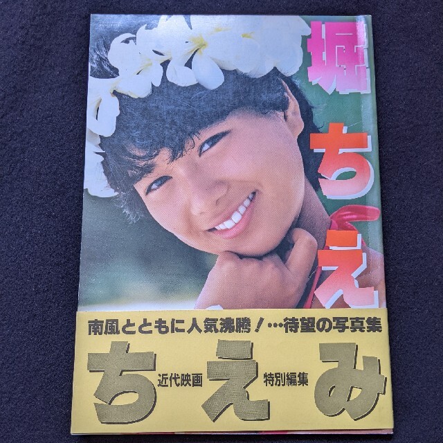 堀ちえみ 写真集 近代映画 特別編集 海 水着 コンサート ライブ 堀ちえみ 写真集 近代映画 特別編集 海 水着 コンサート ライブ