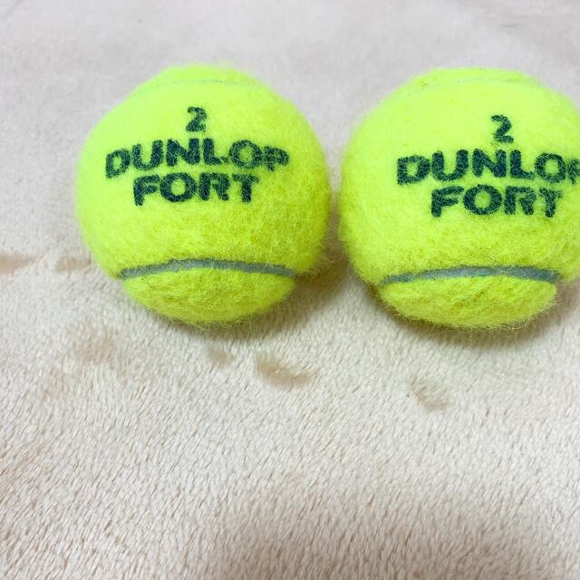 DUNLOP(ダンロップ)の【値下げ】ダンロップフォート　テニスボール2個 スポーツ/アウトドアのテニス(ボール)の商品写真
