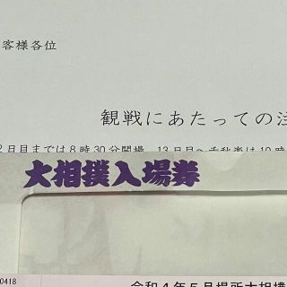 大相撲　5月20日(金)10:00〜　入場チケット　ペア(相撲/武道)