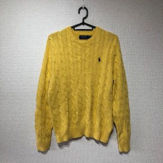 ラルフローレン(Ralph Lauren)の送料無料❗️Ralph Lauren ラルフローレン ニット　フェンディTシャツ(ニット/セーター)