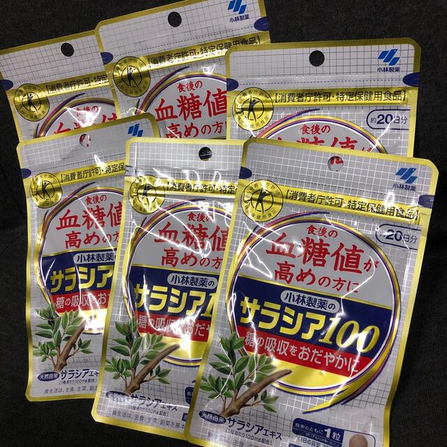 小林製薬(コバヤシセイヤク)の小林製薬　サラシア100  20日分　6セット 食品/飲料/酒の健康食品(その他)の商品写真