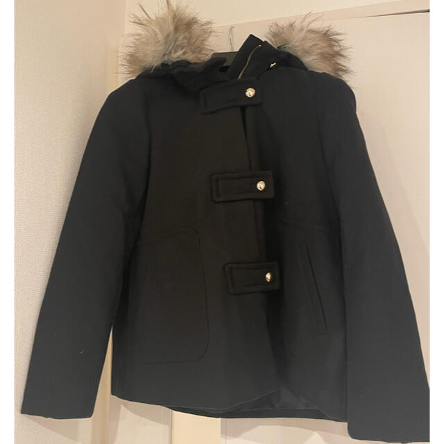 ZARA(ザラ)のZARA黒コート レディースのジャケット/アウター(毛皮/ファーコート)の商品写真