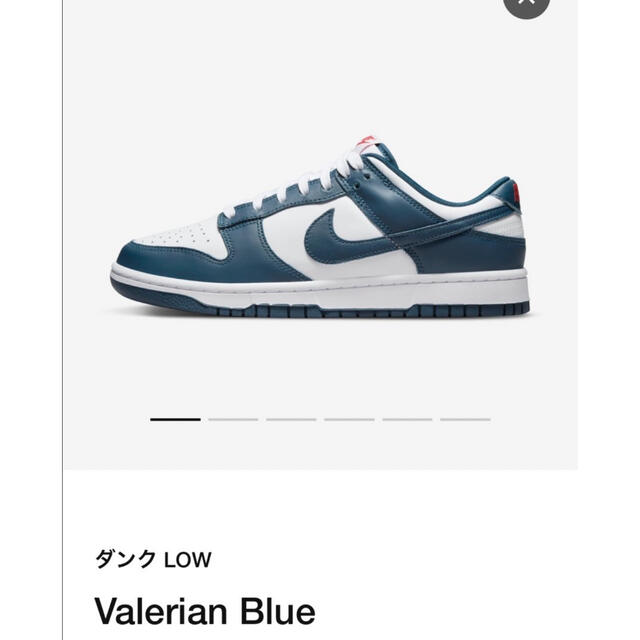 Nike DUNK LOW RETRO Valerian Blue 新品