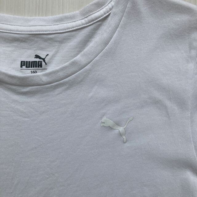 PUMA - 【新品】PUMA プーマ 半袖丸首インナー Tシャツ 150 2枚