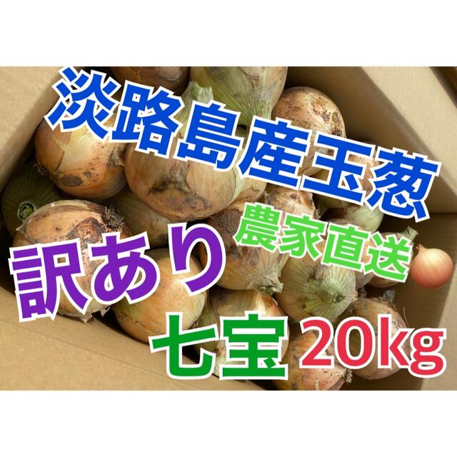 新玉ねぎ【淡路島産玉葱】七宝 20kg 訳あり品