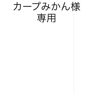 カープみかん様専用(応援グッズ)