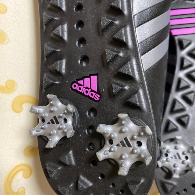 adidas(アディダス)のadidas アディダス　ゴルフシューズ　23cm〜23.5cm スポーツ/アウトドアのゴルフ(シューズ)の商品写真