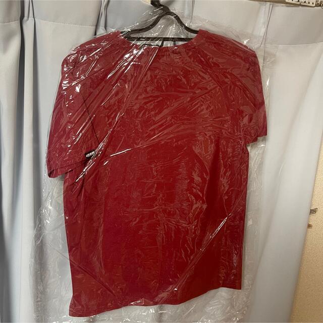 MILKBOY(ミルクボーイ)のsetel en jade ロゴ Tシャツ クリーニング済 メンズのトップス(Tシャツ/カットソー(半袖/袖なし))の商品写真