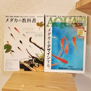 【美品】メダカの教科書、アクアライフNo.466(アクアリウム)