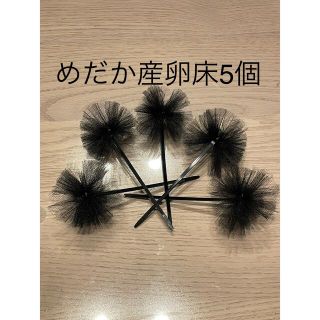 《めだか産卵床5個（チュール生地黒）の商品》(アクアリウム)