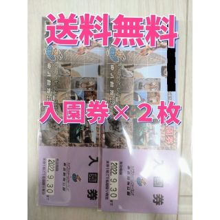 東武動物公園　入園券　２枚　ポイント消化　クーポン利用(動物園)