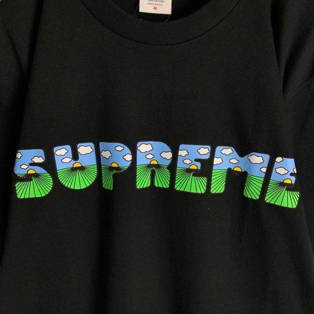 なっていま】 Supreme - シュプリーム☆ビッグロゴ定番カラー半袖t ...