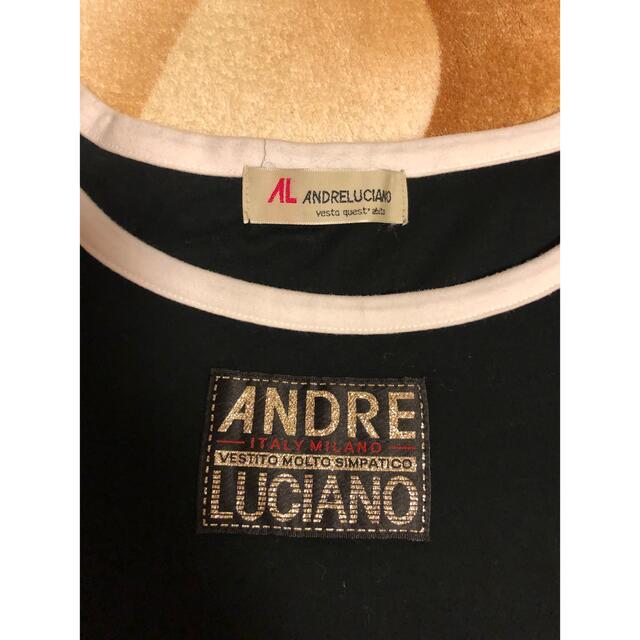 ANDRE LUCIANO(アンドレルチアーノ)の日本製　ANDRE LUCIANO 半袖　クロップド丈　Tシャツ レディースのトップス(Tシャツ(半袖/袖なし))の商品写真