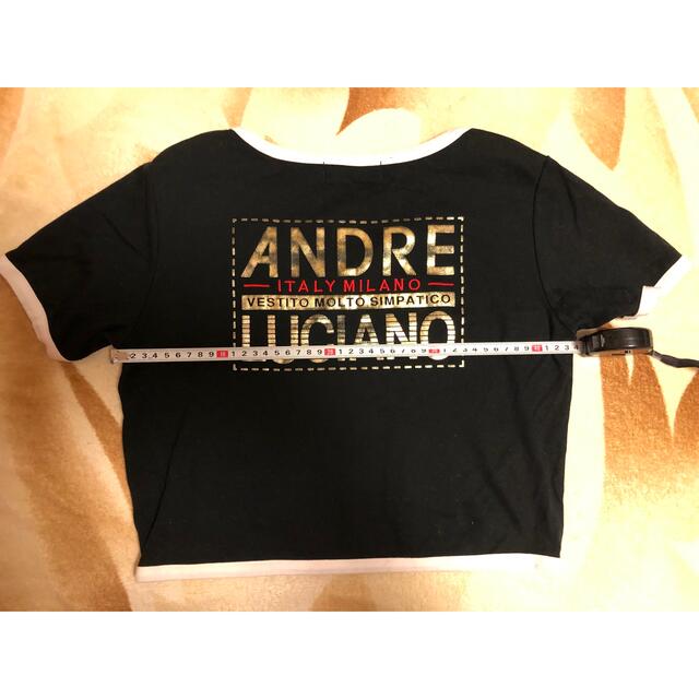 ANDRE LUCIANO(アンドレルチアーノ)の日本製　ANDRE LUCIANO 半袖　クロップド丈　Tシャツ レディースのトップス(Tシャツ(半袖/袖なし))の商品写真