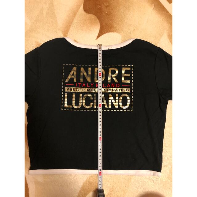 ANDRE LUCIANO(アンドレルチアーノ)の日本製　ANDRE LUCIANO 半袖　クロップド丈　Tシャツ レディースのトップス(Tシャツ(半袖/袖なし))の商品写真